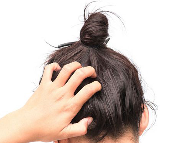 養(yǎng)腎補氣血是增強發(fā)質(zhì)的中醫(yī)的好方法