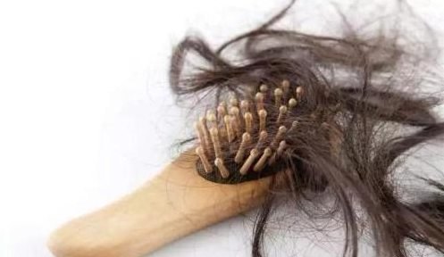 告別夏日頭發(fā)油膩感，儷真8大養(yǎng)護(hù)攻略讓毛發(fā)蓬松自然